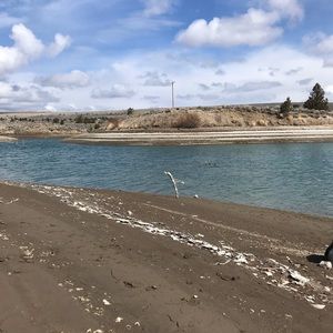 Meet your Posher, Glenda